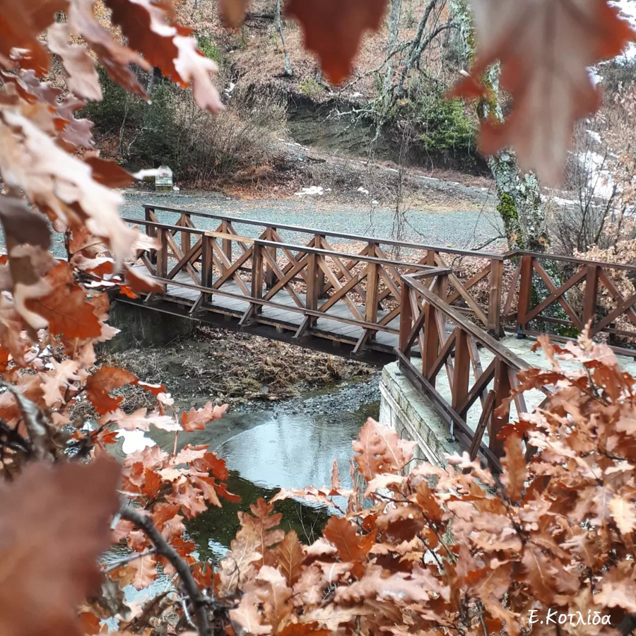 Κενοτάφιο Μητροπολίτη Αιμιλιανού