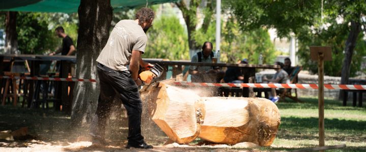 17η Πανελλήνια Γιορτή Μανιτραριού