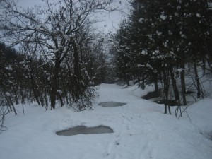 Στο άλσος Θεοδωρίδη ή όπως είναι ευρέως γνωστό στο Καστράκι     