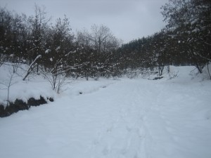 Το τοπίο στο Καστράκι είναι πανέμορφο όλες τις εποχές του χρόνου     