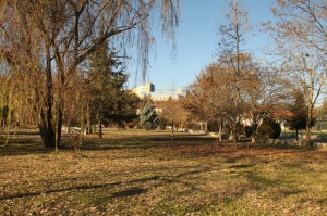 Φθινοπωρινή όψη της περιοχής απέναντι από το Διοικητήριο   