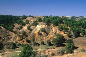 Κοντά στη Μηλιά