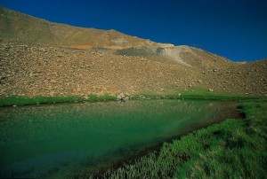 Ανοιξιάτικη εκδοχή της λίμνης στη Βασιλίτσα