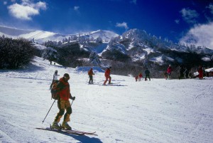 Εθνικό Χιονοδρομικό Κέντρο Βασιλίτσας 